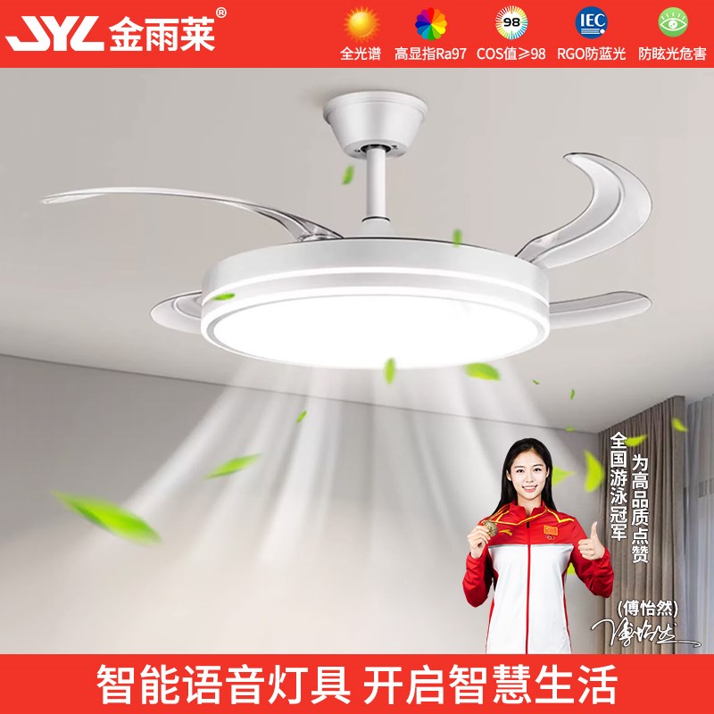 金雨莱风扇灯客厅家用餐厅简约卧室风力隐形一体电扇吊灯吊扇静音