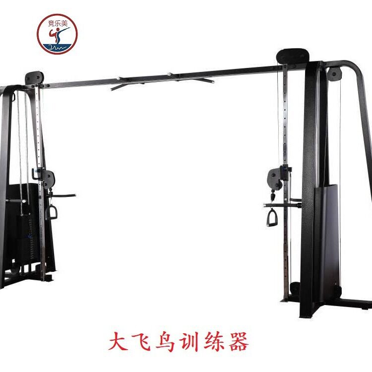 大飞鸟训练器高档双臂机龙门架商用健身器材拉力综合训练器健身房