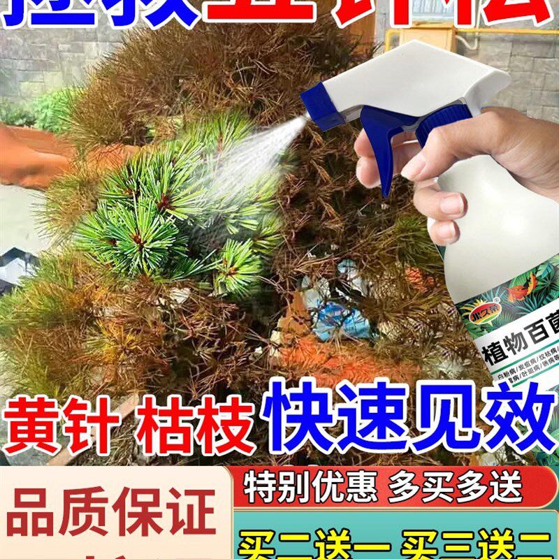 五针松黄叶病急救肥喜酸植物型营养液罗汉黄山大阪雀舌盆景杀菌剂,鲜花速递/花卉仿真/绿植园艺,家庭园艺肥料,淘宝优惠券,粉丝福利购,淘宝优惠卷