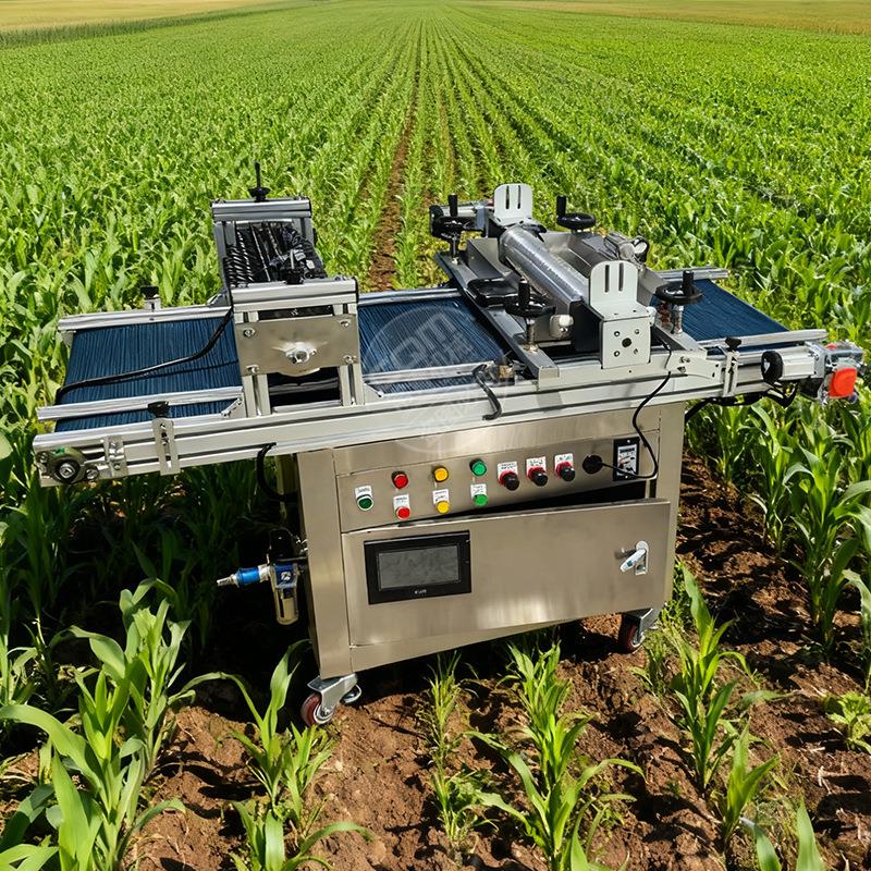 小型全自动育苗盘播种机针吸辣椒西红柿播种机 滚筒式穴盘播种机