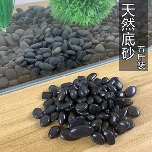铁胆沙黑工砂龟缸造景沙水族装饰底沙乌龟缸石子鳌虾沙