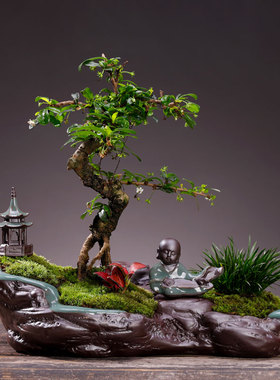 创意发财树绿植客厅玄关家居饰品办公桌面装饰富贵竹招财摆件