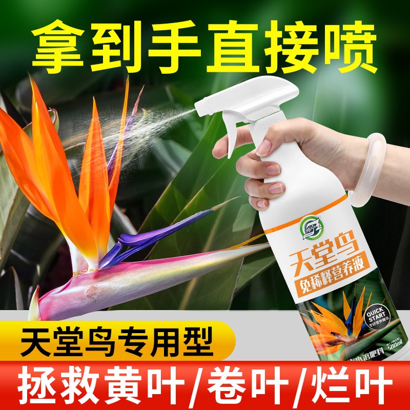 鸟专用肥料营养液免稀释黄叶卷边绿植通用型盆栽室内植物家用