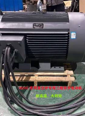 山东淄博厂家直供MDIC355L2-2/315W-B35真空炉三相异步电动机