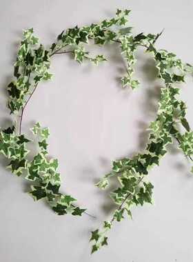 直供仿真常春藤葡萄叶花藤仿真藤蔓常春藤绿色装饰绿植藤条