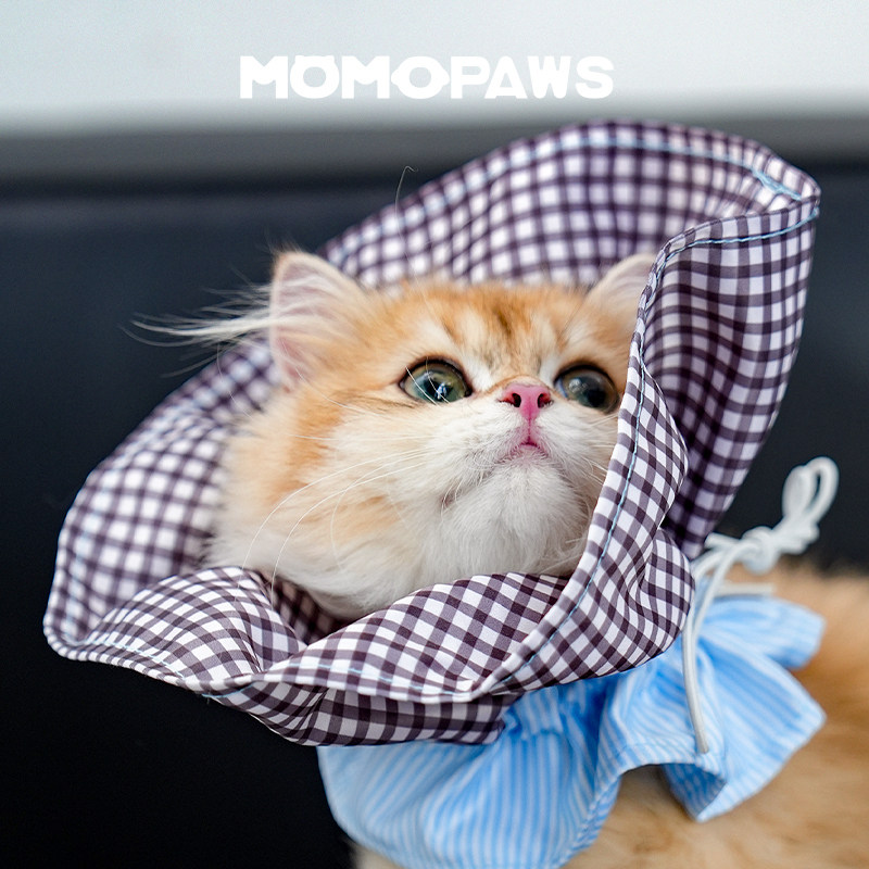 猫咪狗狗伊丽莎白圈抽绳围脖防舔