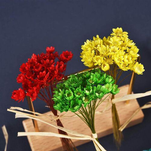 30Pcs Dried Flowers UV Resin Filler Mini Brazil Star Chrysan