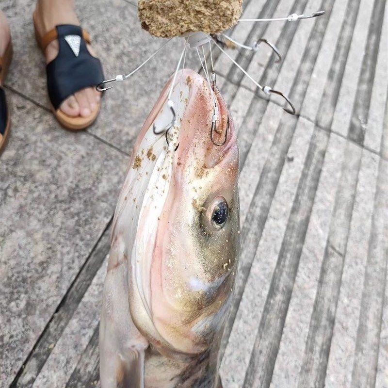 鲢鳙专用翻板钩新型方块盘钩硬线海竿伊势尼爆炸溪流鱼钩翻版飞钩,户外/登山/野营/旅行用品,鱼钩,淘宝优惠券,粉丝福利购,淘宝优惠卷