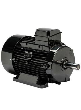 FERT拉菲特系列0.37W至55W三相异步电动机非标型号轴承精加工