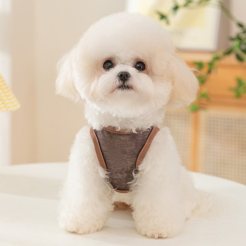 狗狗衣服薄款夏天小型犬猫咪网纱防晒泰迪比熊凉凉防掉毛宠物背心
