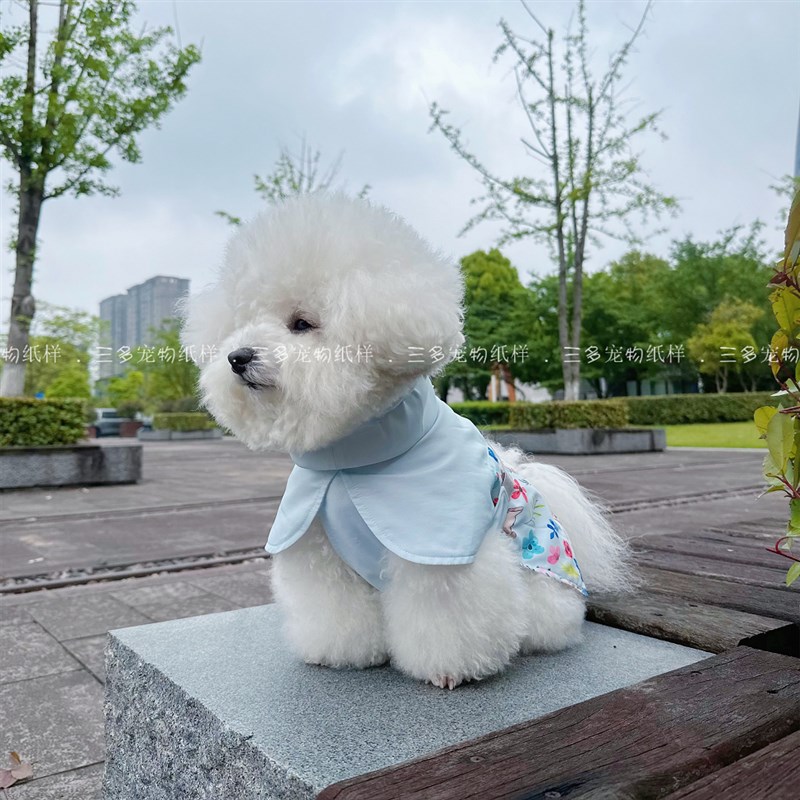 宠物衣服雨披图纸柴犬柯基中大型犬遛狗防水防脏外套衣服模板纸样