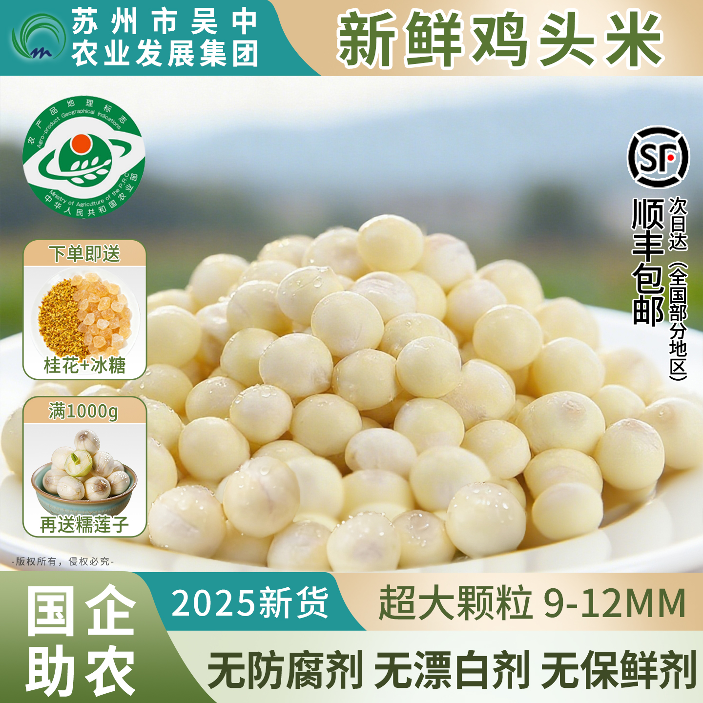 【临湖鲜】正宗芡实鸡头米