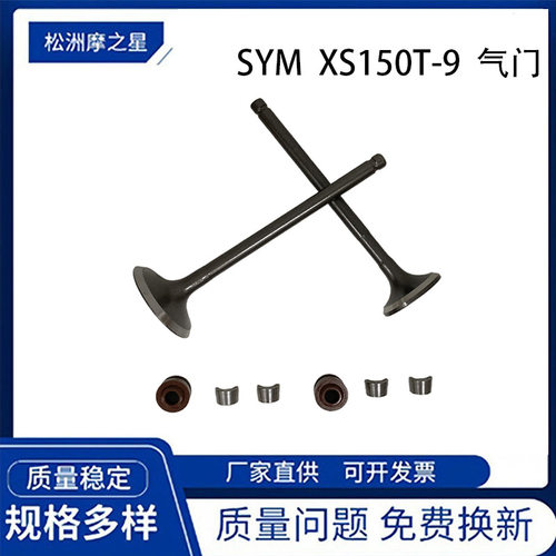 摩托车发动机气门适用三阳SYM150 XS150T-9进排气门套件SYM油封