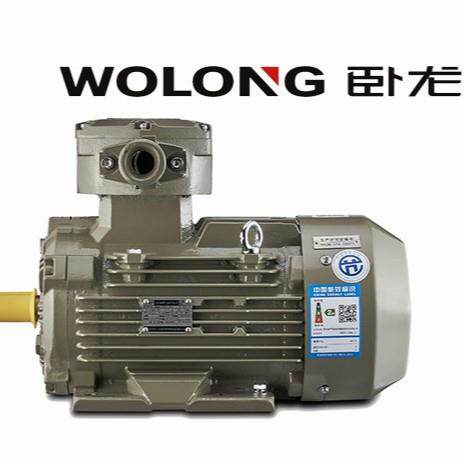 南阳防爆三相异步电动机YBX3系列440V380VIIB4隔爆型电机样本立式