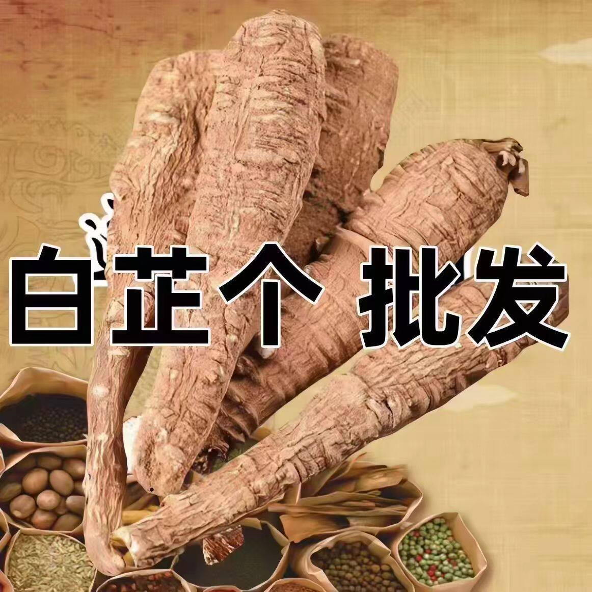 正宗川白芷整根去腥增香