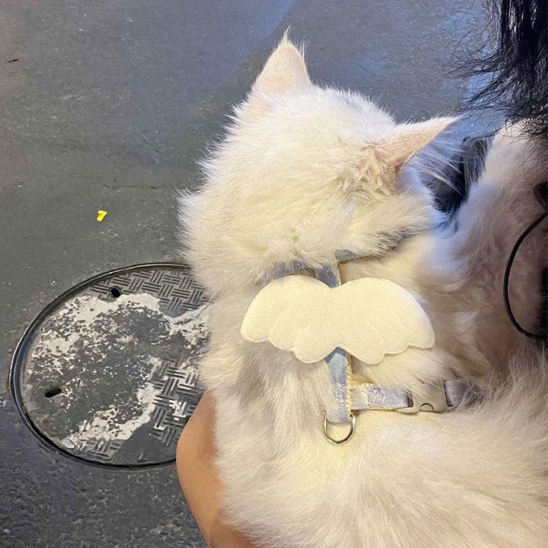 猫咪牵引绳天使翅膀新款公主风可调节防挣脱小猫外出宠物用品