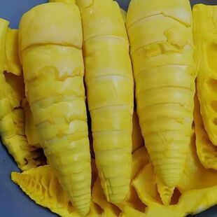 云南德宏特产新鲜黄笋 嫩笋尖 酸嫩笋片新鲜黄笋傣族味炒腊肉煮汤