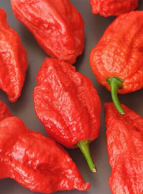 超辣辣椒涮涮辣特辣魔鬼辣椒特产1斤辣椒变态辣云南新鲜特辣