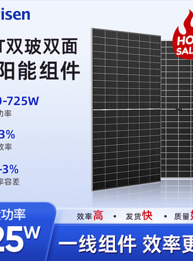 700W 东方日升 risen 太阳能组件 双面 HJT 725W