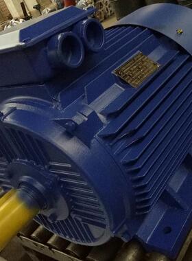 厂家供应280W电动机2.4.6.8级多规格三相异步电动机380V防爆电机