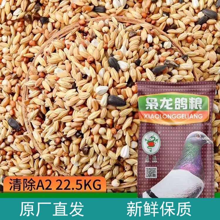 枭龙鸽业标准A2鸽粮换羽期鸟食饲料油葵稻谷45斤江浙沪皖