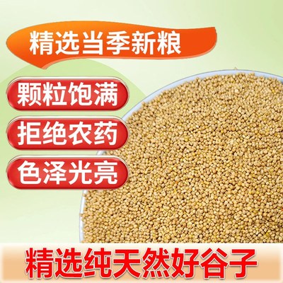 新黄谷子虎皮鹦鹉饲料玄凤牡丹混合料鸟食粮食带壳黄谷子鸟粮