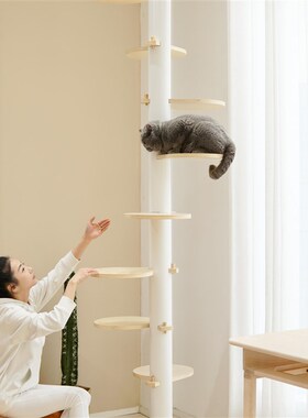 极简设计感limolimo旋转花瓣网红通天柱猫爬架顶天立地猫树猫跳台