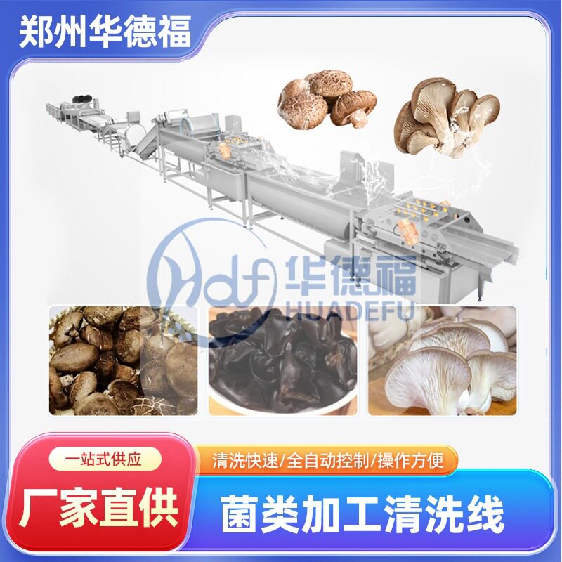 菌菇类清洗加工生产流水线 蘑菇香菇鹿茸木耳紫菜清洗深加工设备