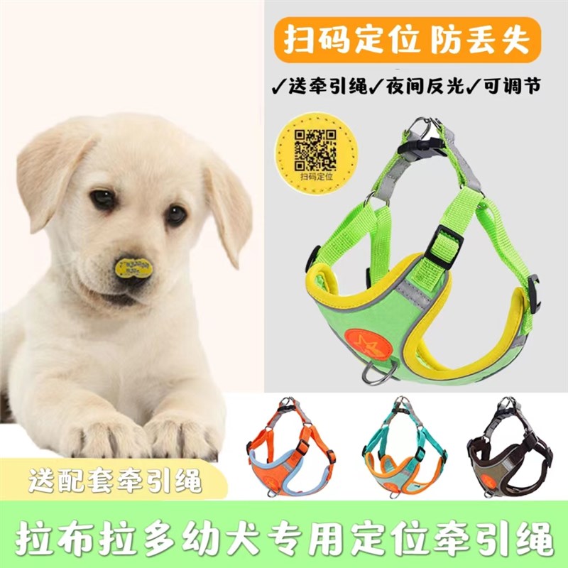 拉布拉多幼犬牵引绳背心式中小型犬反光防挣脱背心式狗狗背带