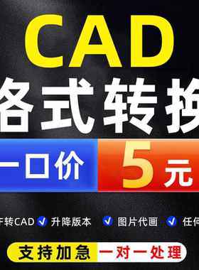 cad转换pdf格式cdr天正图纸高低版本文件人工dwg图片dwf打印修改