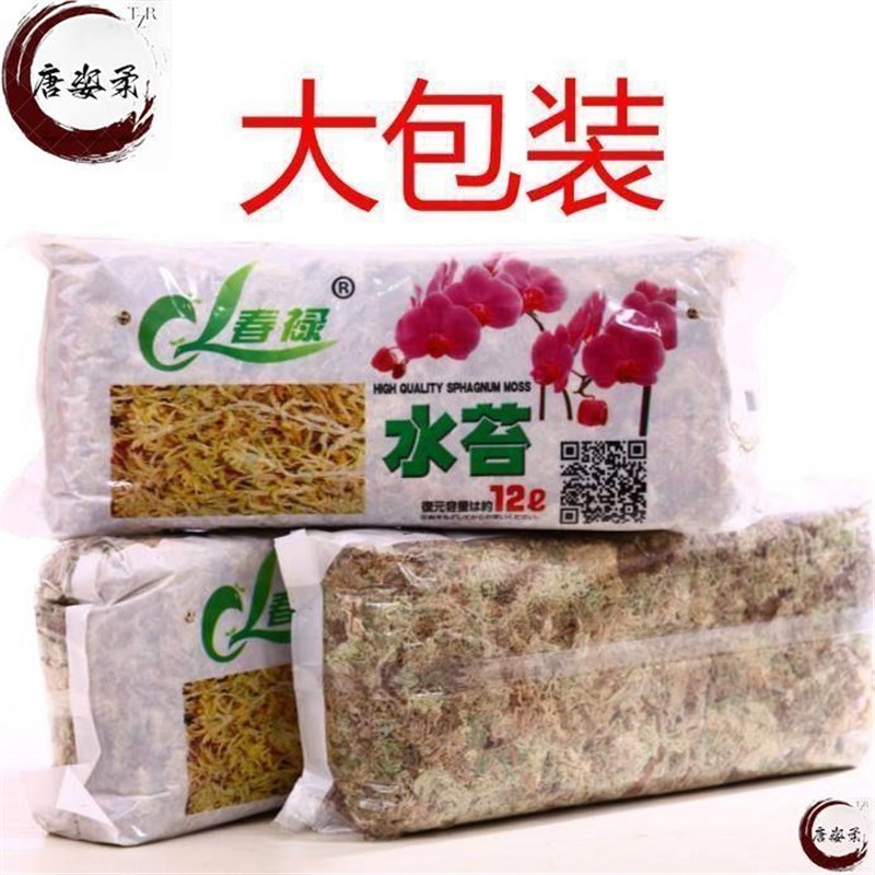 优质干水苔蝴蝶兰专用青苔兰花石斛猪笼草土苔藓鱼缸乌龟垫料花盆