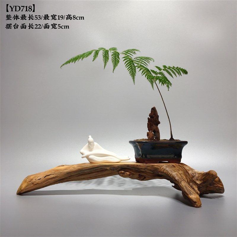 根雕崖柏同科随形原木底座根艺摆件天然枯木新中式禅意文玩工艺品