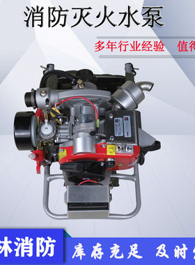 森林消防Fyr Pak背负式森林消防泵8马力两冲程抽水泵