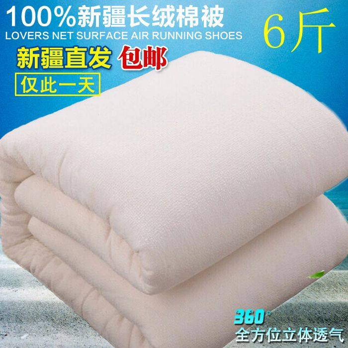 棉被 6斤单双人定制 一级长绒棉花被芯褥子棉胎加厚保暖冬被