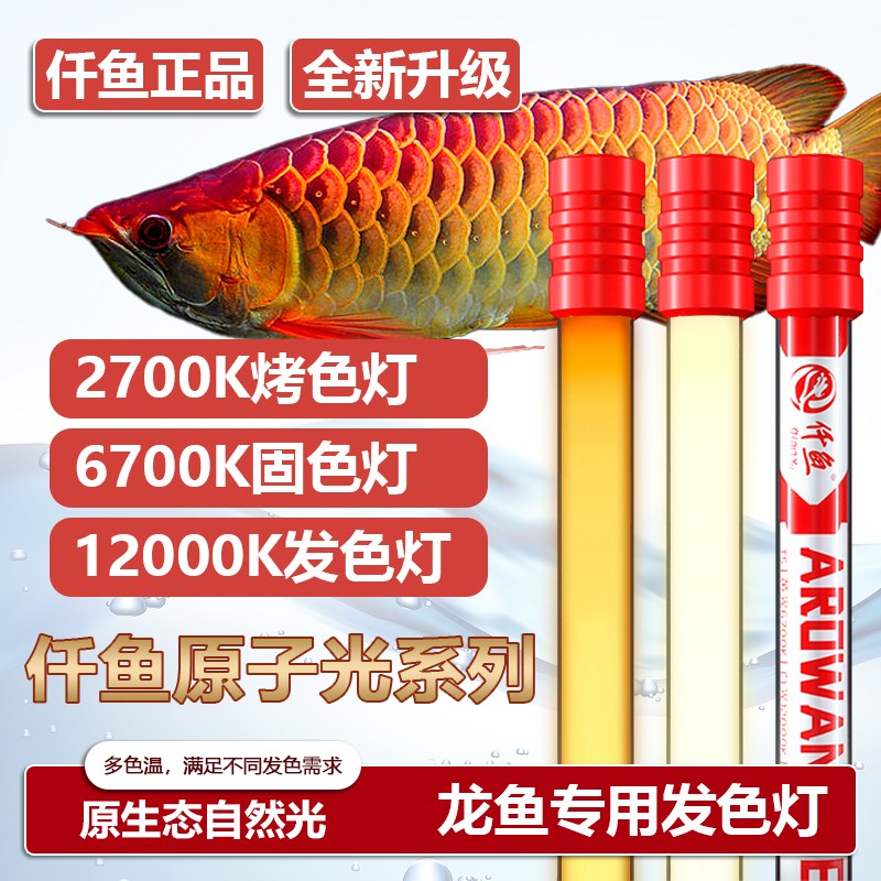 金龙红龙鱼诱发色灯烤色灯nec鱼缸灯三基色T5全光谱潜水灯管
