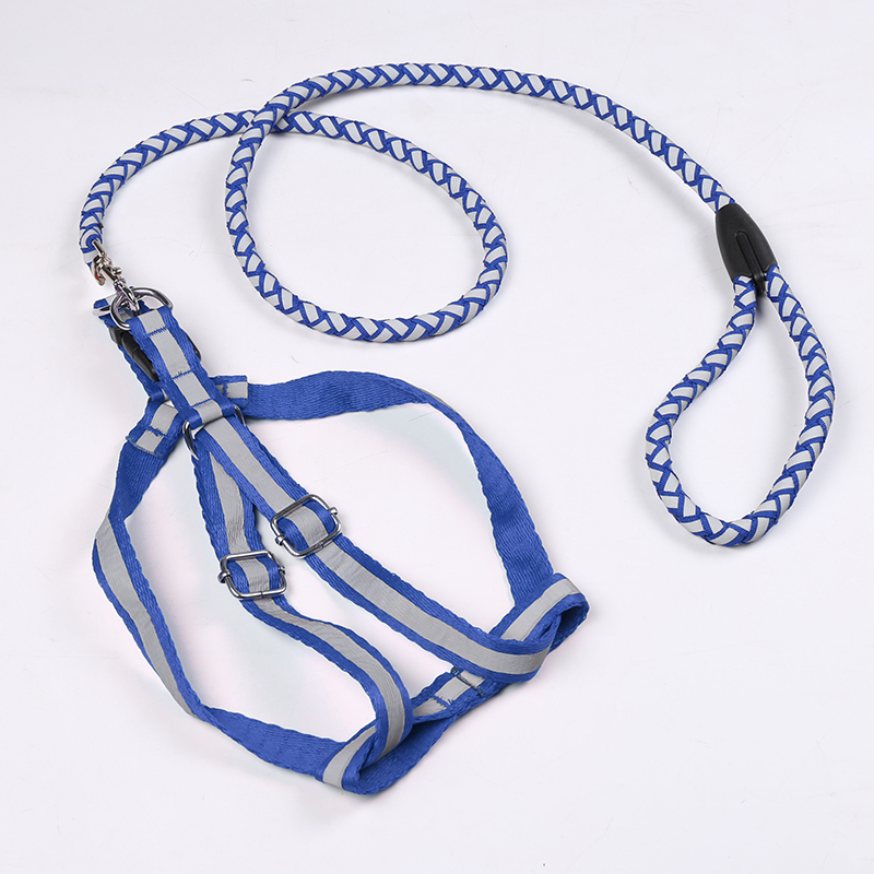 狗狗牵引绳狗链子泰迪比熊胸背带小型犬项圈遛狗夜光绳子宠物用品