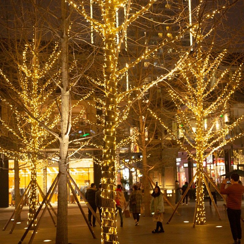 LED灌胶灯串超亮加粗高满天星节日防水户外街道绕树亮化装饰串灯