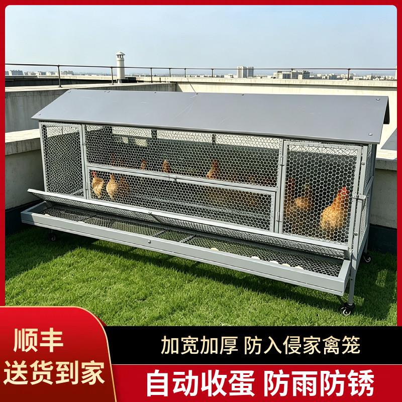 鸡笼子家用室外防雨自动收蛋防啄防黄鼠狼防鼠加厚不锈下蛋养殖笼