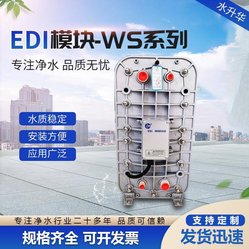 EDI膜堆高纯水去离子反渗透净水设备电子半导体用2吨EDI膜块