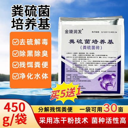 粪硫菌水产养殖专用改底王粪硫菌底改生物底改粪硫菌培养基清淤泥