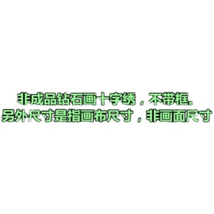 钻石画照片寸尺款框图定制满钻点钻石绣成品式定制