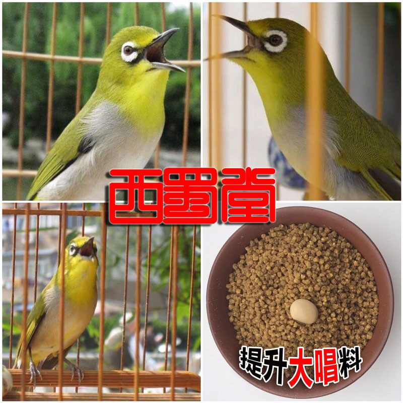 西蜀堂手工绣眼鸟食饲料提升上性大唱绣眼鸟食暗绿红肋绣眼鸟饲料