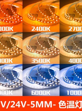 12V24V5MM200KK2400K2700K3000K4000K500006000K10000K色温灯带