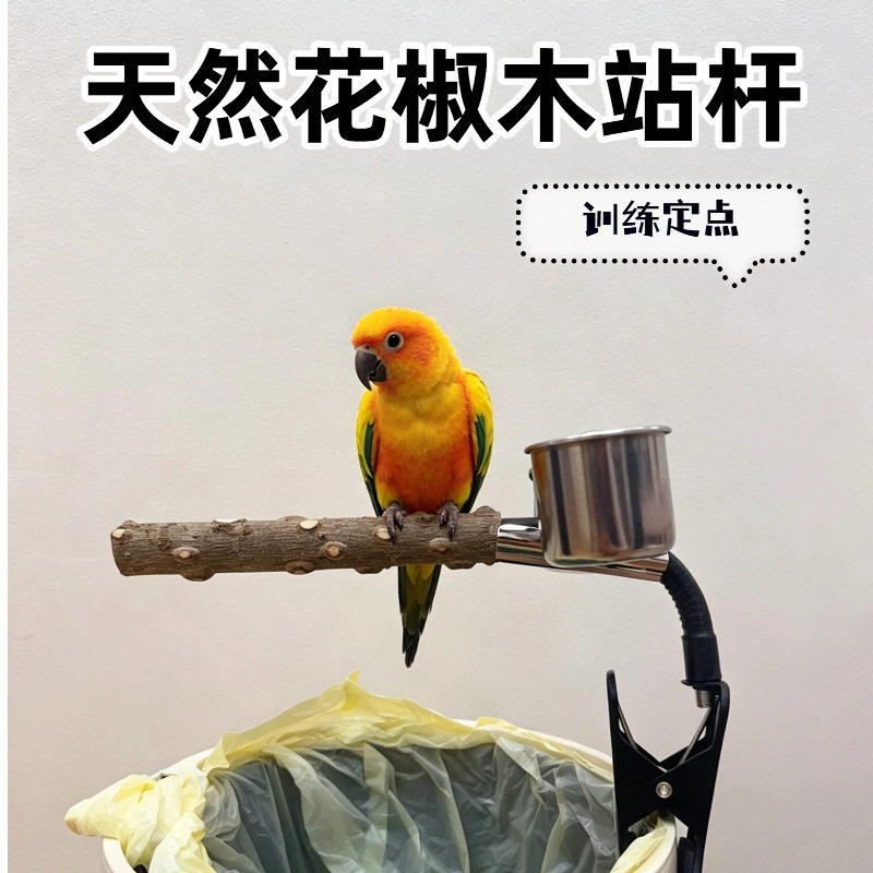 鹦鹉花椒木站杆站架垃圾桶定点排便拉屎多功能神器搭配食盒专用图片