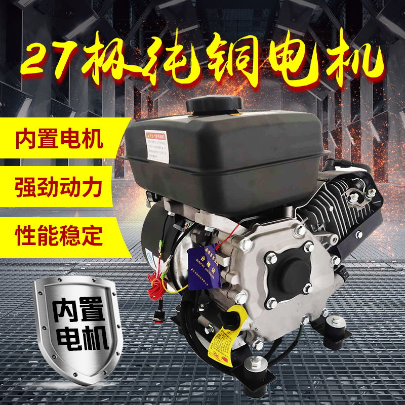 变频低噪音6w电动三四轮轿车VV7V充发电机