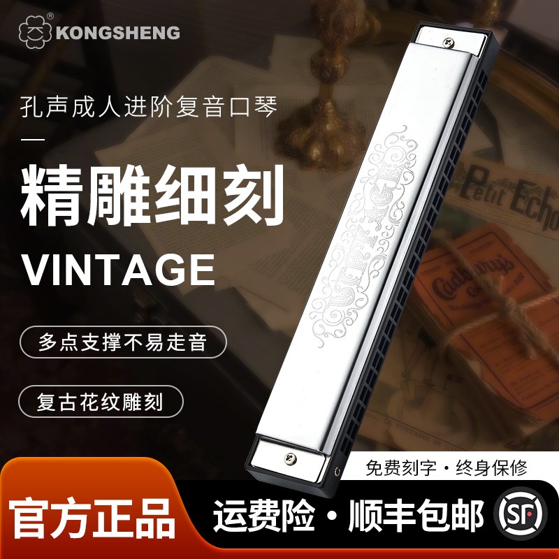 孔声24孔复音口琴成人演奏练习琴初学者学生教学学习送入门礼包