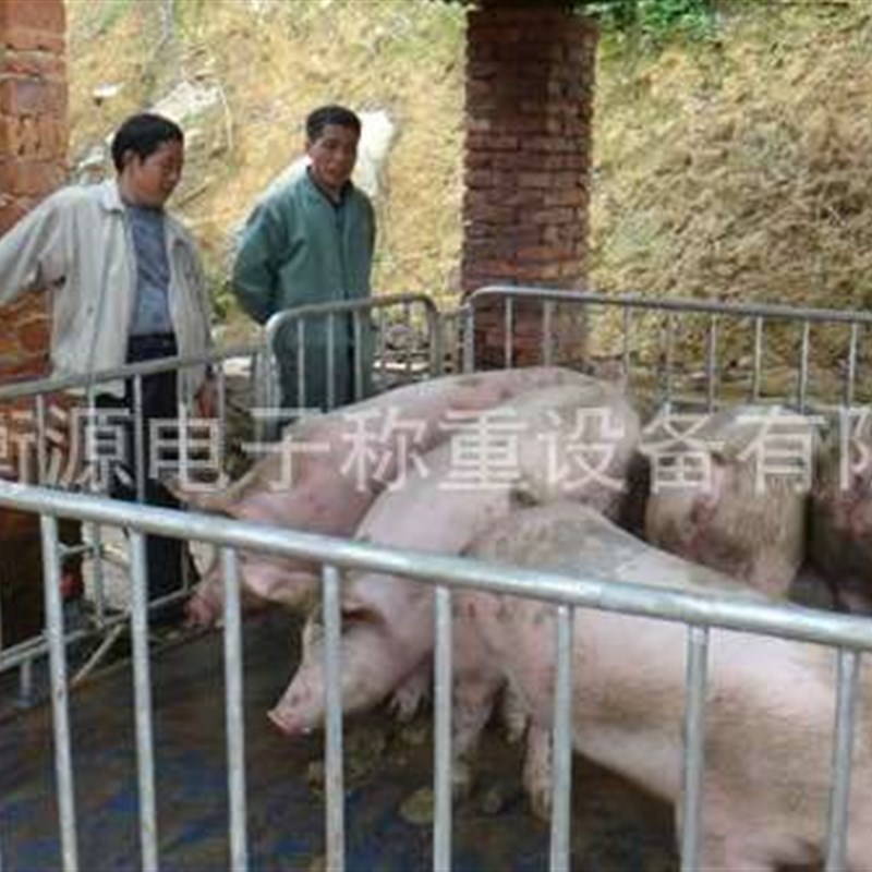 带围栏地磅1t-3t牲畜称重地磅1.5*3米猪羊牛马称重小地磅