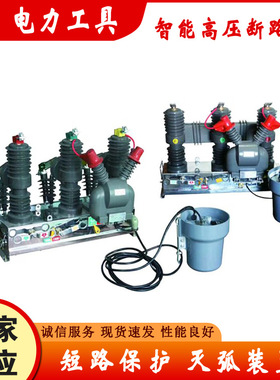 10KV分界开关ZW32-12/T1250-25户外柱上真空断路器柱上看门狗