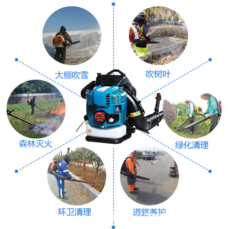 后背大功率汽油吹雪机道什威尔大棚吹雪机灰尘砂石落叶清扫吹风机,农机/农具/农膜,割灌机/割草机/油锯,淘宝优惠券,粉丝福利购,淘宝优惠卷