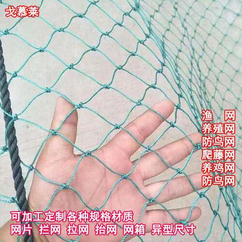 龙养殖防尼KEQ鸟护网果园菜边园拦鸡网防鸟爬藤顶网鱼塘围护栏网